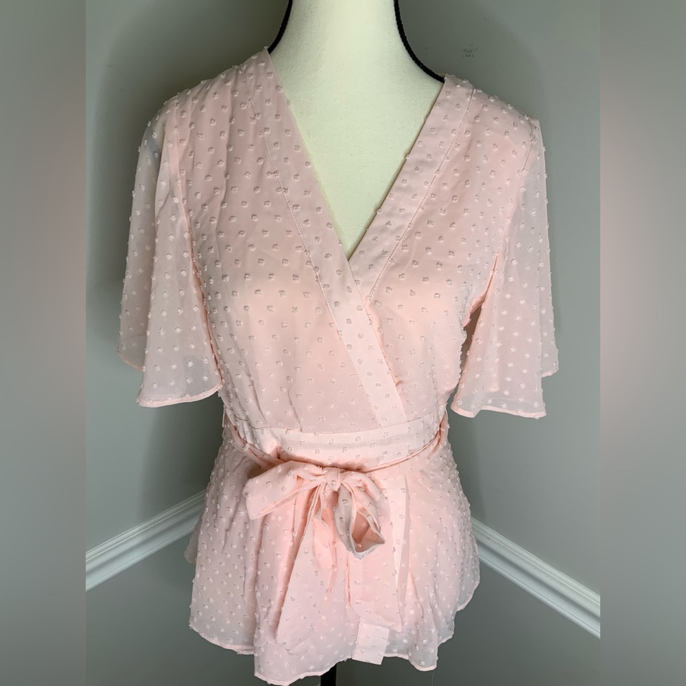 Julie Brown NYC  Pink Sheer Wrap Blouse